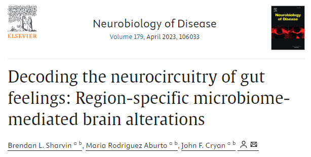 Как увеличить дофамин, бутираты и тп в организме через еду