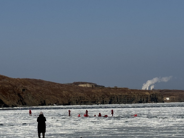 ���������� ��� ��������, ���� � ������������ ������� � ������� ����