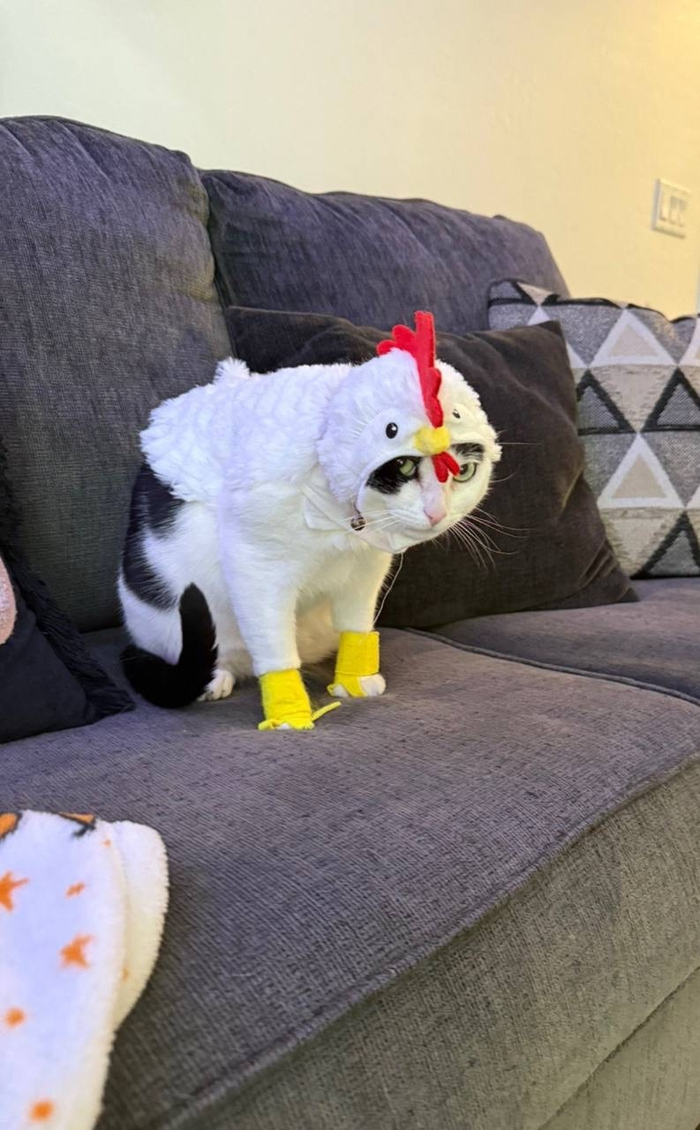 ��������� ����� �� ������