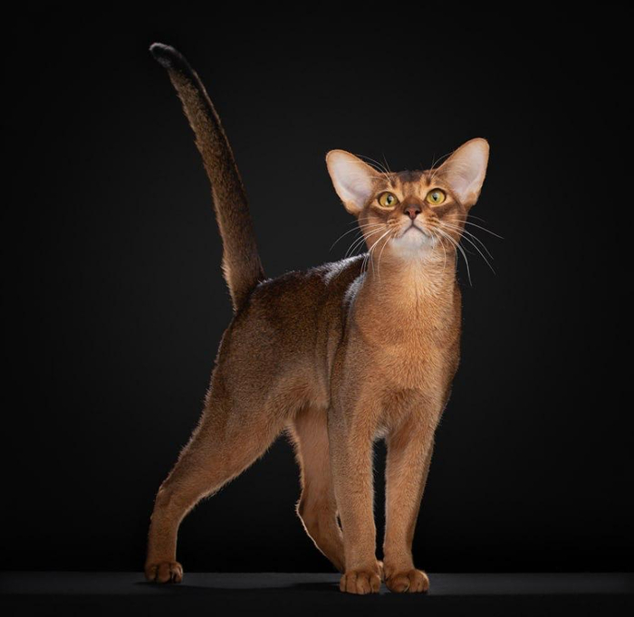 ������ �� ������