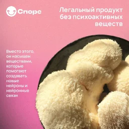 ezhovikcrimea