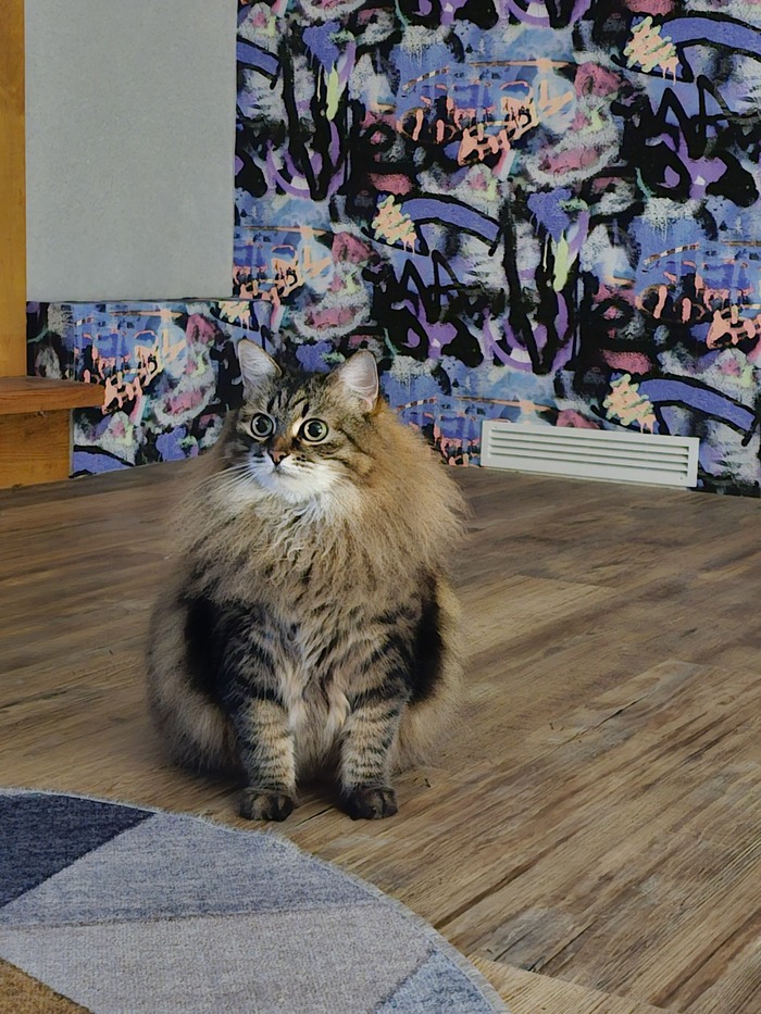 ������ "�������"