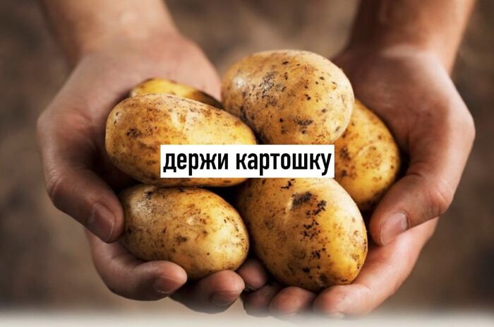 ����� �� �������� �������?