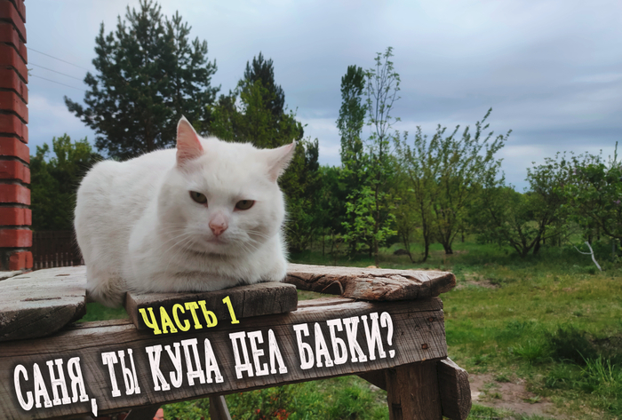 ������� ������������