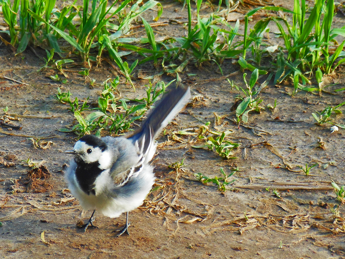 ���������� �������� ����� � ����� �� ���� ��� �������.