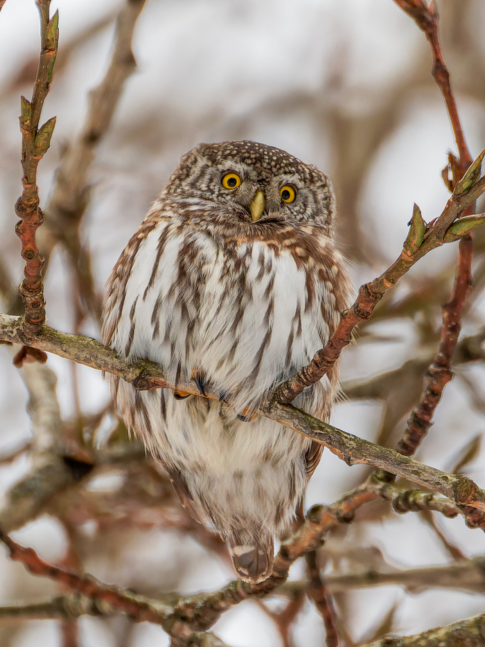 ����? ��� ��������� �����������?�