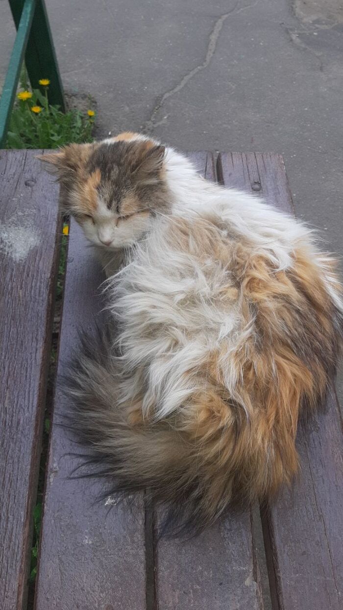 ������ ��� �����, ����� ��� ��������� ����������� ���������, ��� ������, ��������� ��������