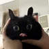 NightShadow713