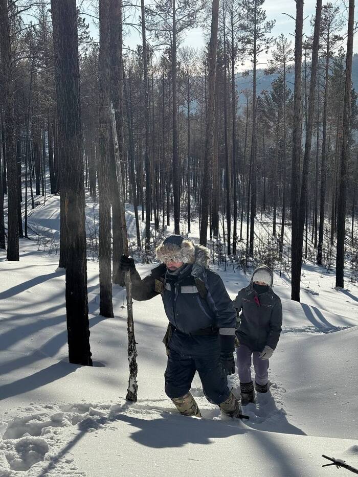 Немногочисленные спутники