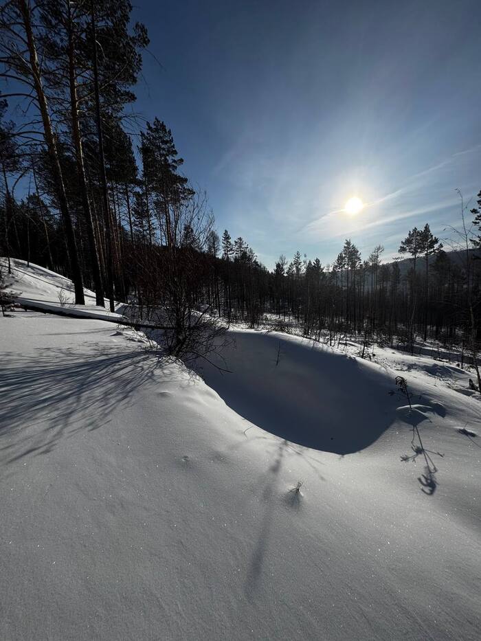 Шурфы заметенные снегом
