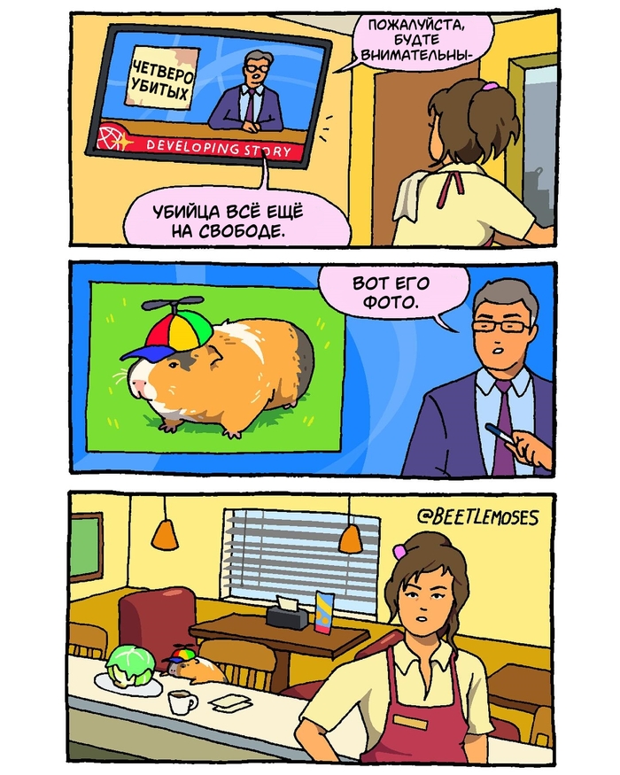 ����������, ���������� ������������