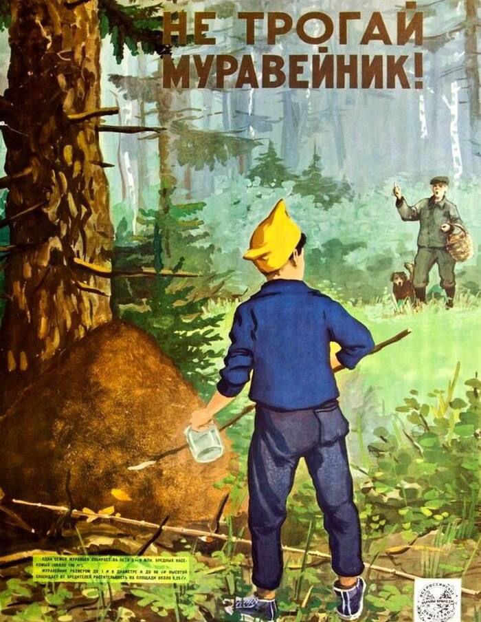 Забытый завет