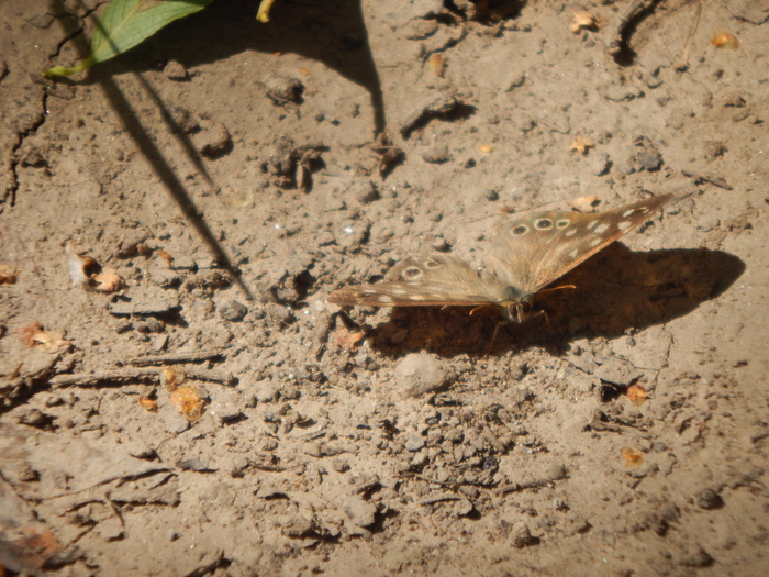 ���������� ������. ��������� ��������� �� ����� � ������, ��� ��� ����� ������ �������������� � ������ ���� ��������.