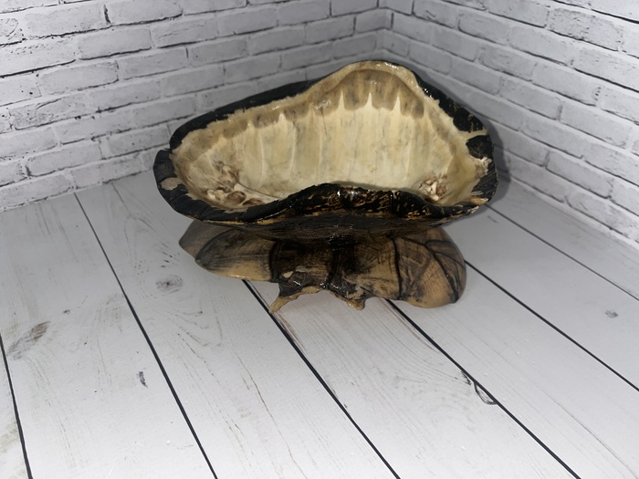 � ��� - ������� �� ������� ��������. �����������, �� ��� �����!