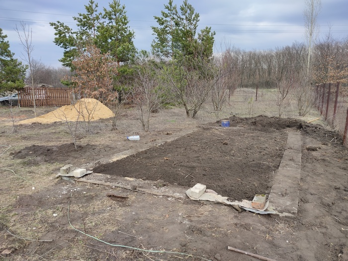 �� ���� ����� ���� �� �����, ������������ �������� �����, ��� �� 6 ����