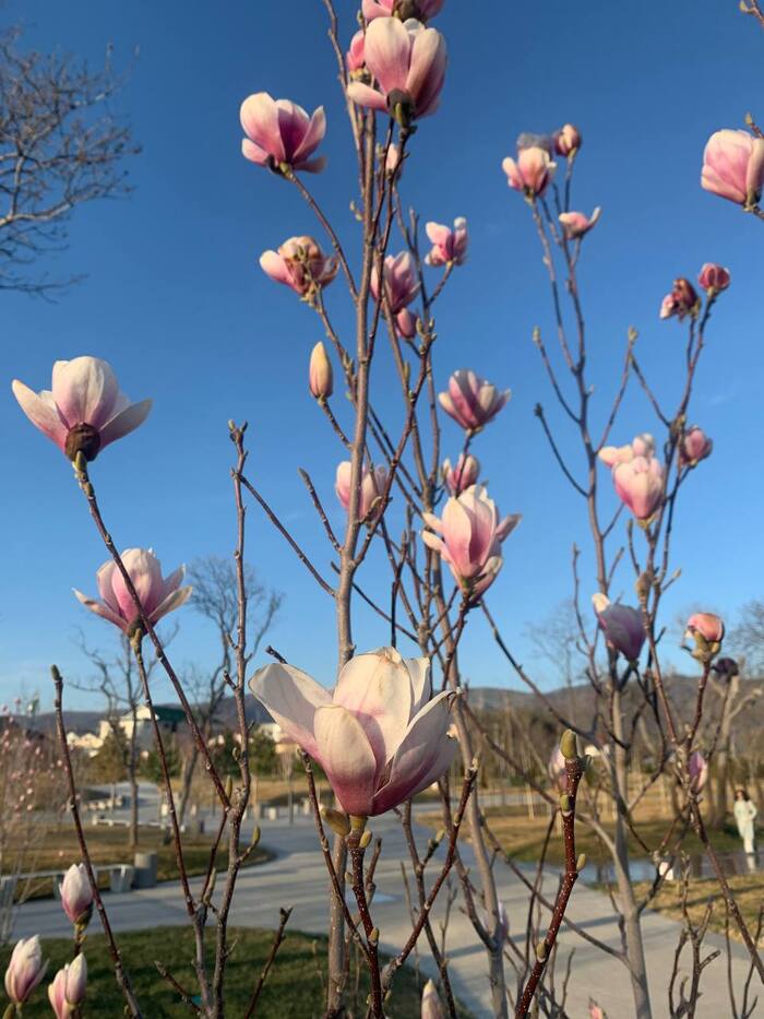 �������� �������� � ���������� �����