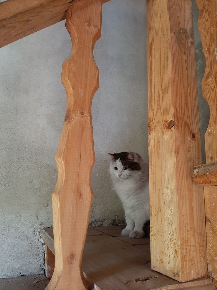 ������� ���������� ���