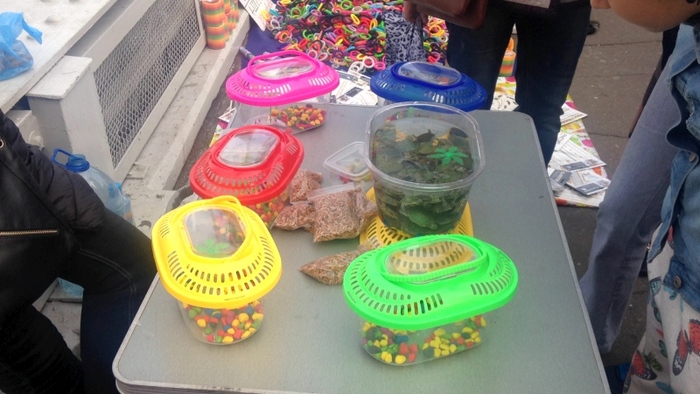 ���������� ������� ��������� �� ����� �� �������� ��� ������. ���������� ����� � ����� ��������.��