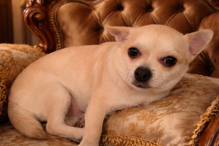 ����� �������� ���� ����������� 5 ���!