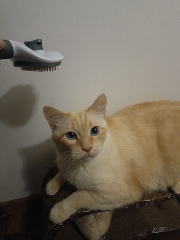 ��� ������ ����� � �������������