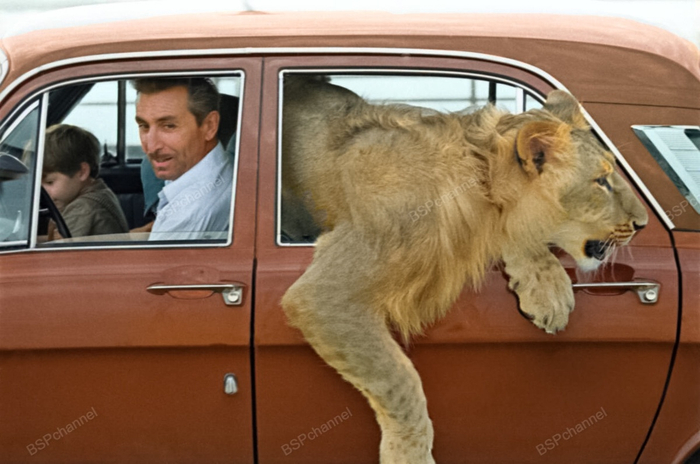 ��������: ������� ������