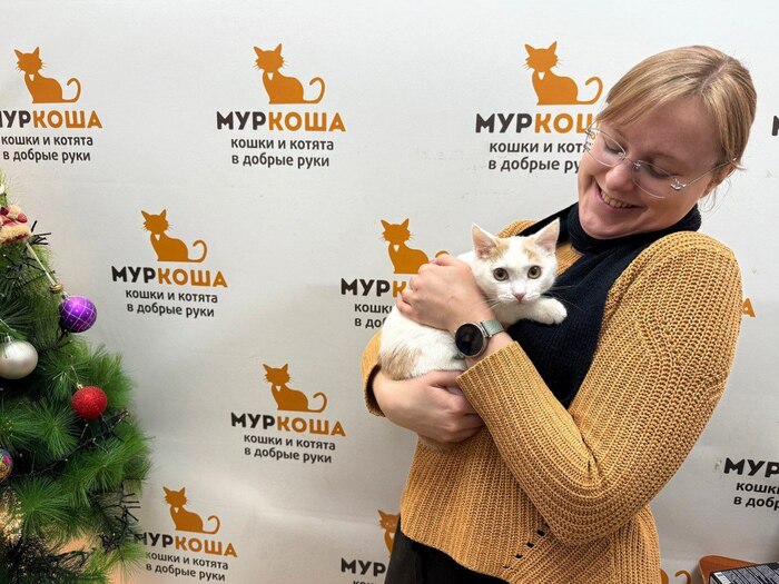 Котёнок-мальчик Ощепик уехал из приюта домой 27 декабря 2025 года.