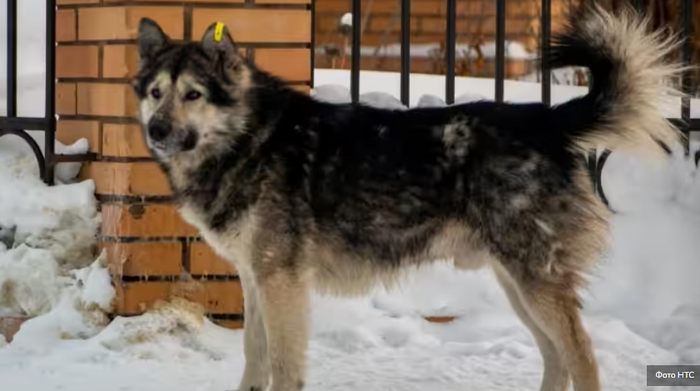 38 000 ������ �� ������: �� ������� ������� �������� ����