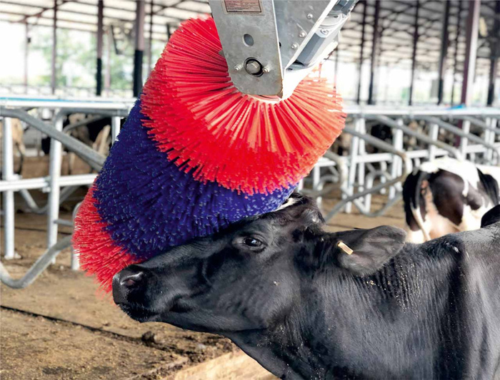 ���-�� �������