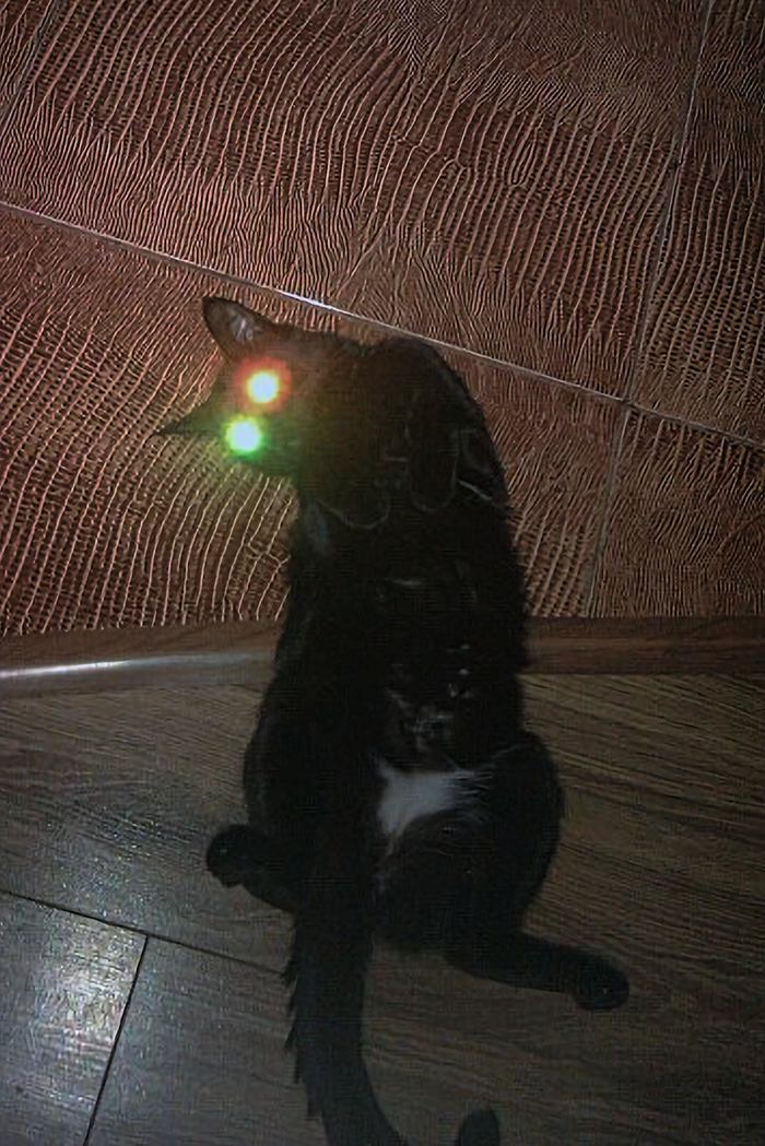 ���  �������, ��� "�������" ����, ��� "�������"?