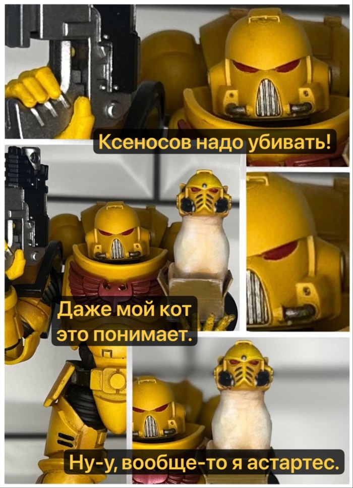 �������� ���� �������