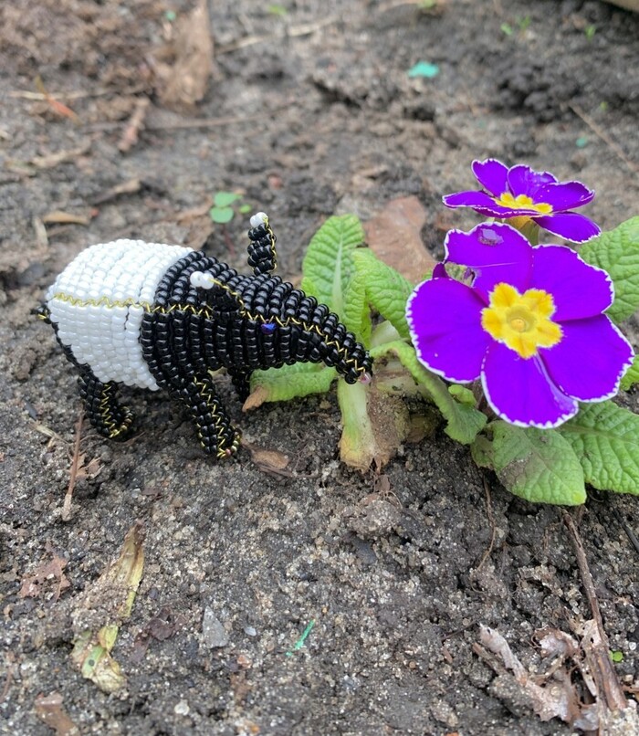 ������ ������ � ���� ��������� �� ����� ������-������!