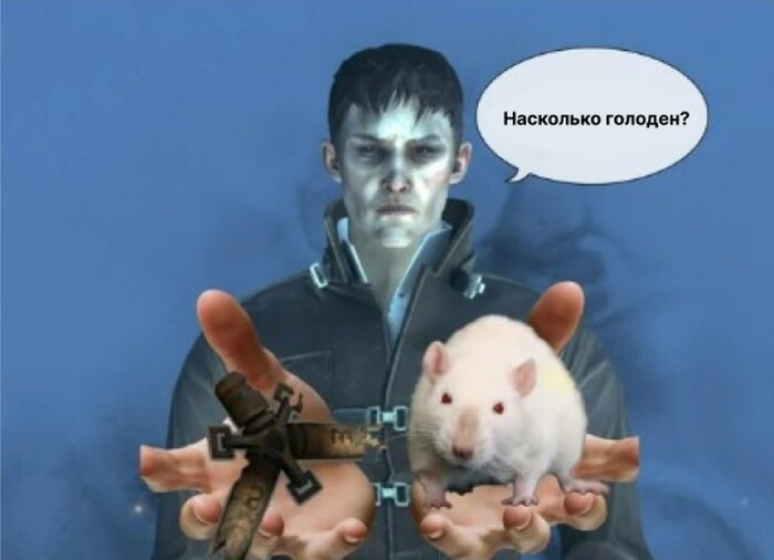 ��������� ������������: 6 ������ �����-���, ��� �� ������������ ���� ��������� ��������� (��� �����)