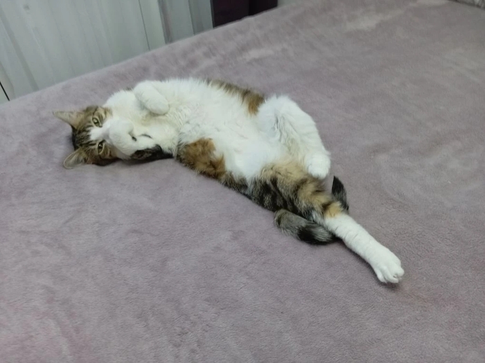 Красива и немного скромна