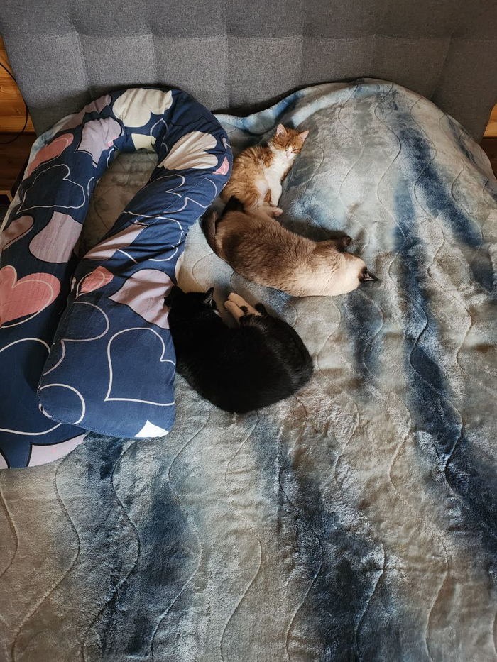 Возврат в родные пенаты, на второй этаж