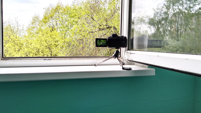 ��� ��� ������ ������ ������� ���������� � ����������� (�� ���� �������� ����� 4 � 5 �������).