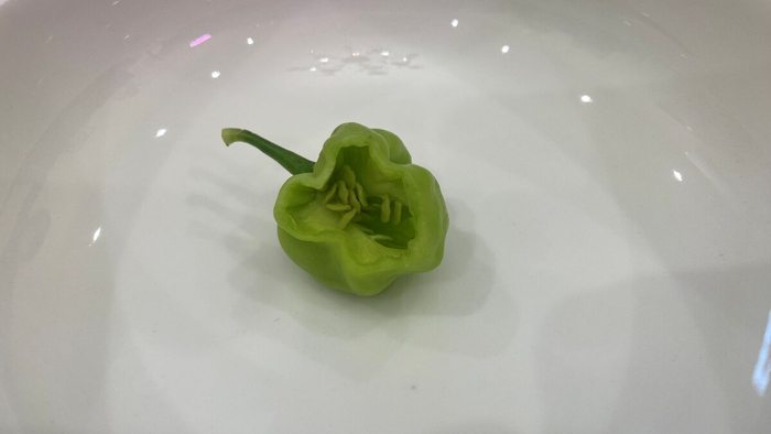 �������� ���...