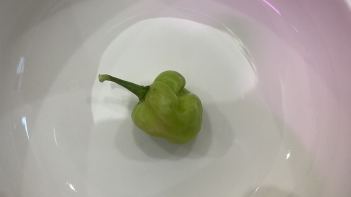 ������-������