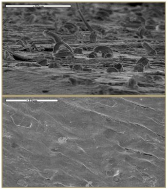 ����� 3100 ����� ��� ����������� 60 °C � ��������� 85 % �� ��������� �������� �������� � ������ SAC305 ����� ��������� ���, � ������ � �������� - ���