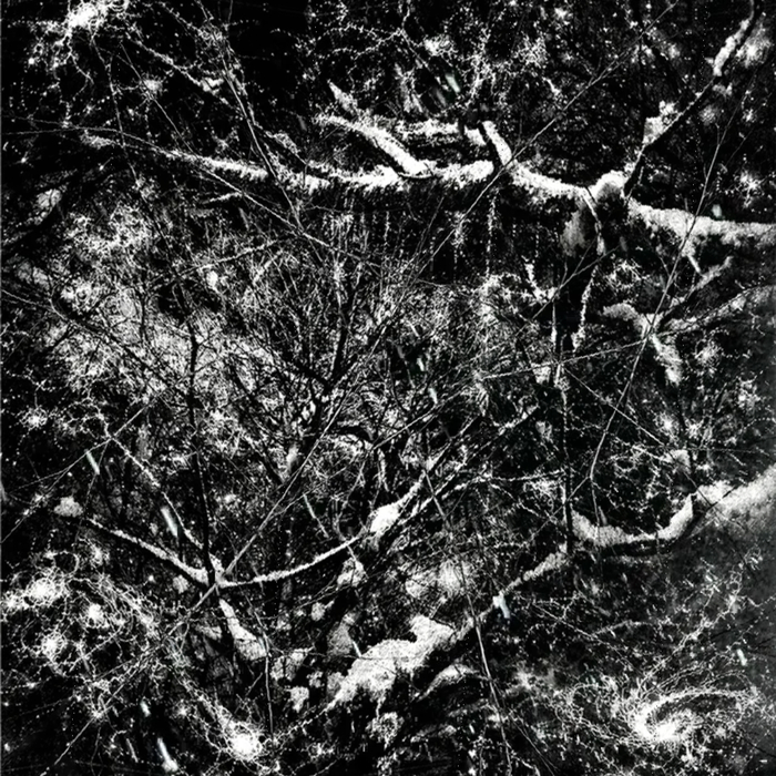 ������� � �������� ����