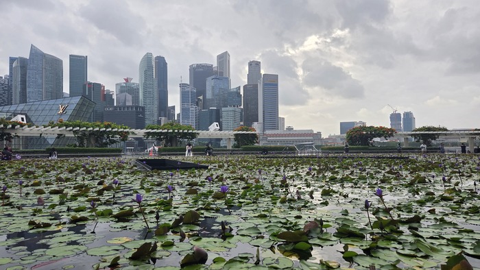 ��� �� ����� �� ����� ����� � ���������