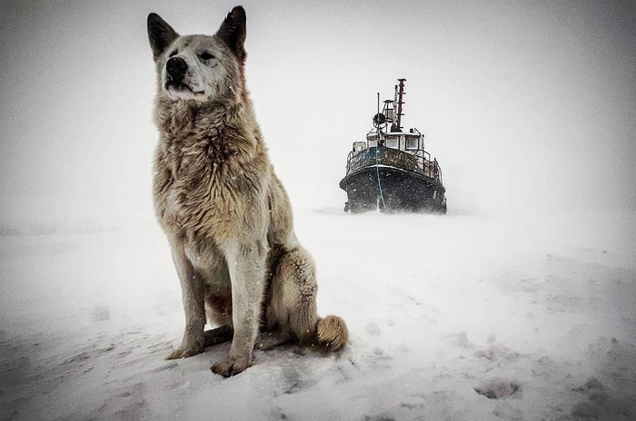 ��������, �. ����� �����, �������. ���� ��, �� �� ���