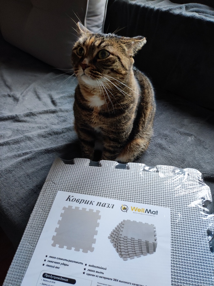 ������������� ����