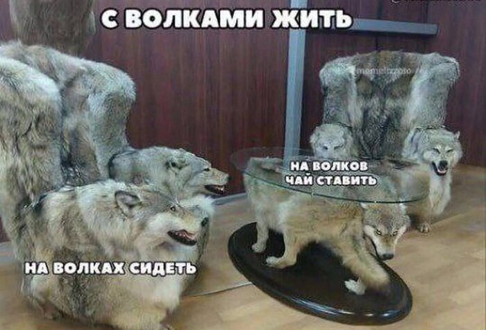 ����� �������� �����������