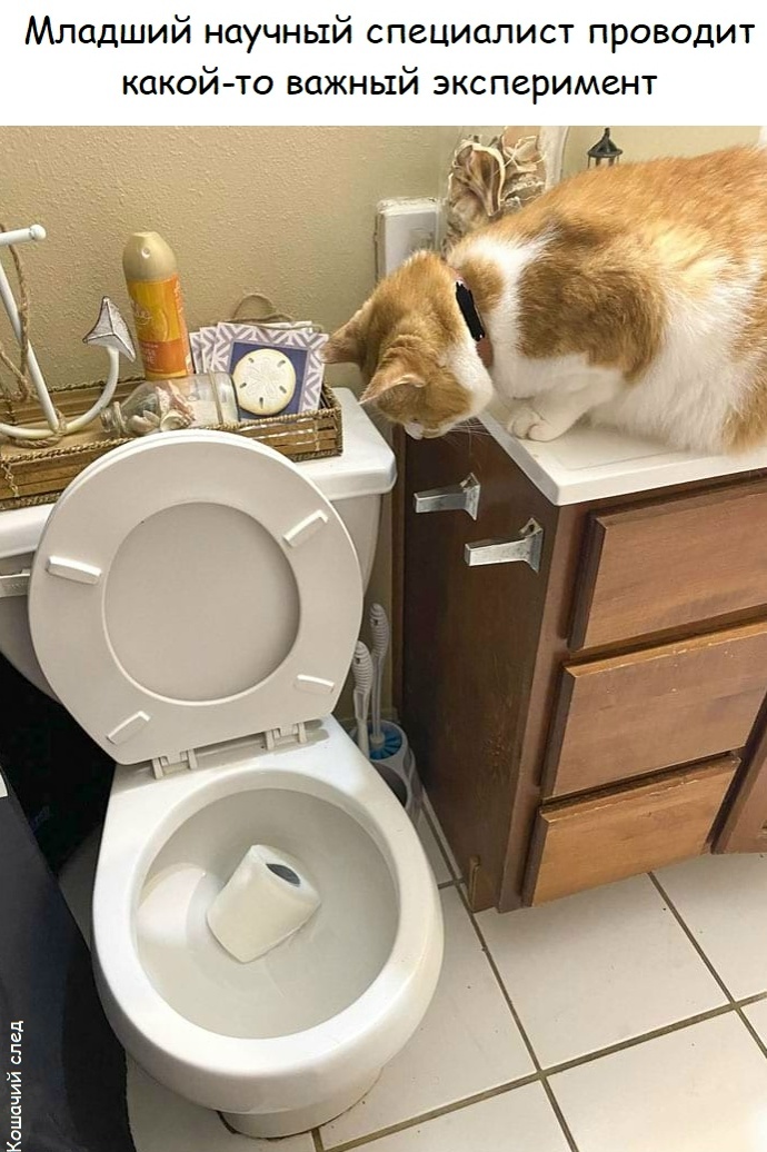 �-�-�����������