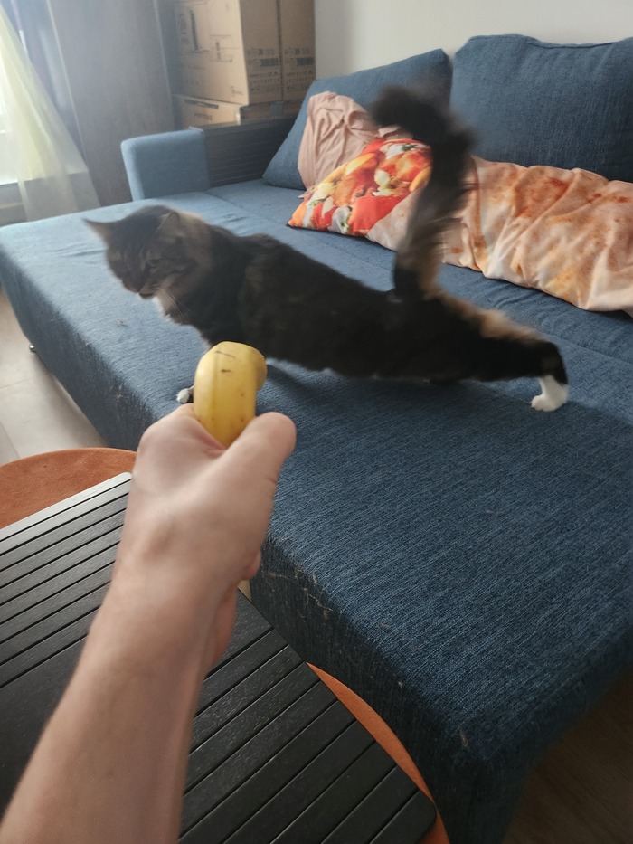 ���������� ������� #171