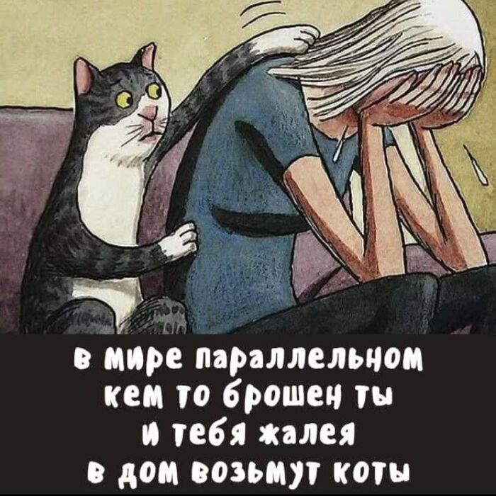 ���� �� �����