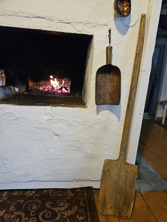 ������ ���������