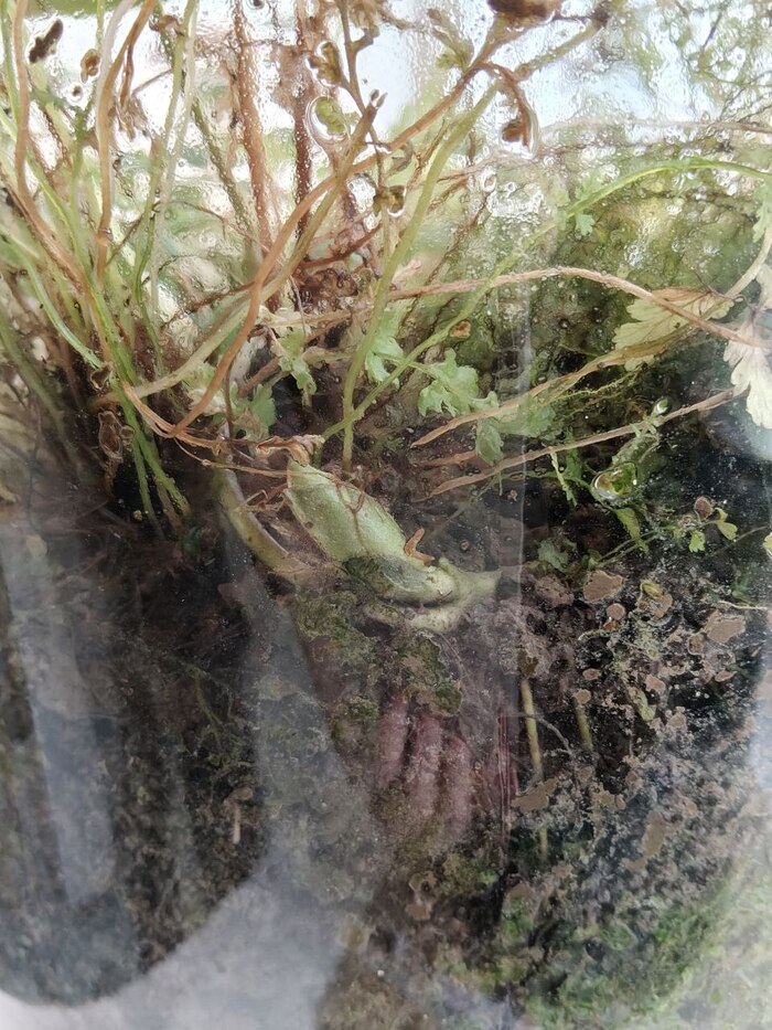 ������� �����