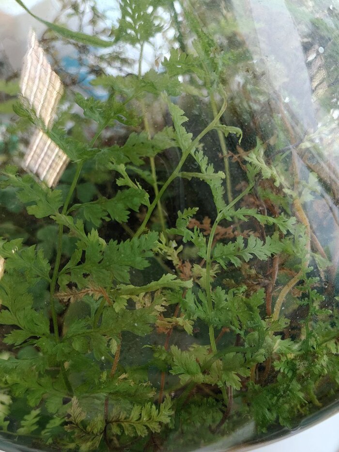 ���������� � ������