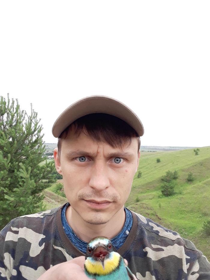 ���� ������